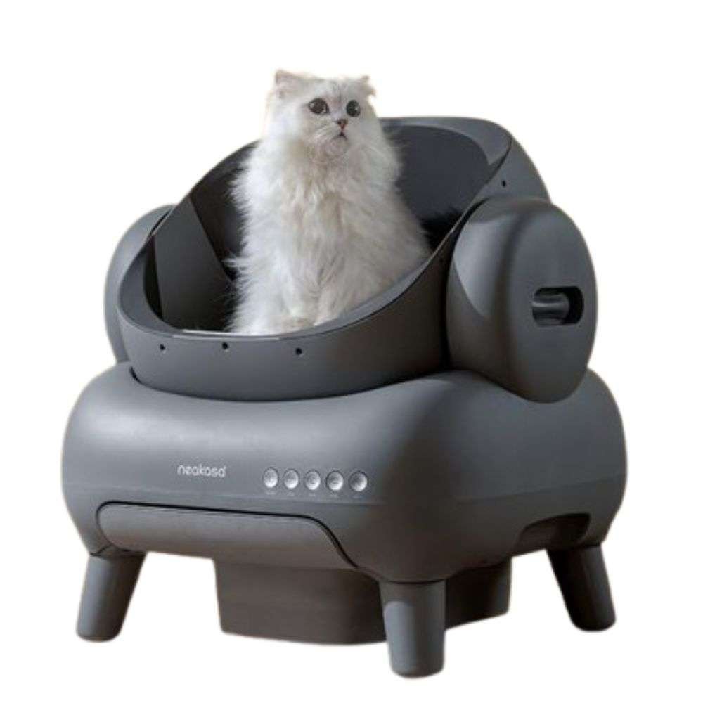 cat home accessories