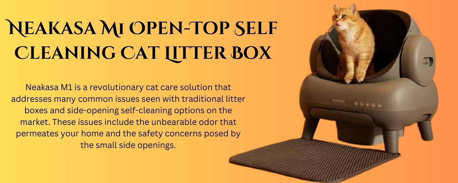 cat home accessories