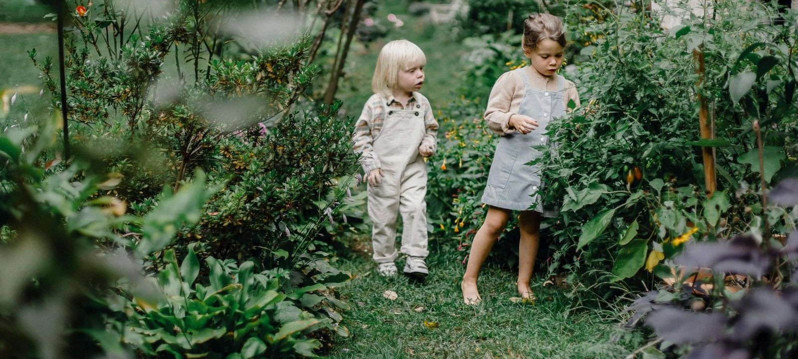 Kids Love Butterflies! Design an Enchanting Garden Together in 5 Easy Steps 