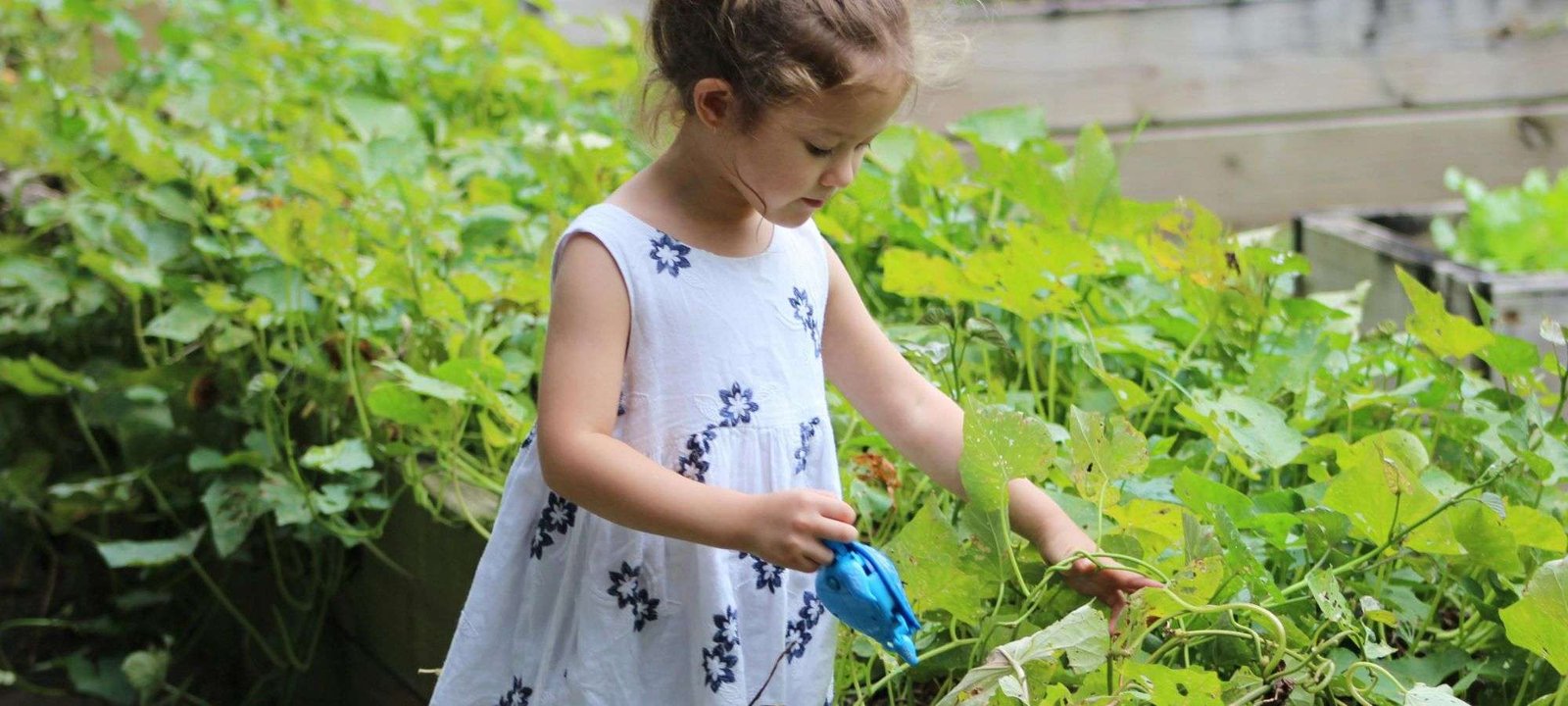 Kids Love Butterflies! Design an Enchanting Garden Together in 5 Easy Steps